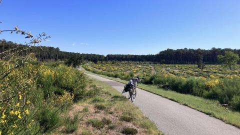 Les Landes