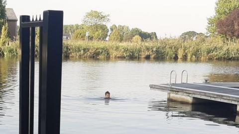 Zwemmen in de Dinter